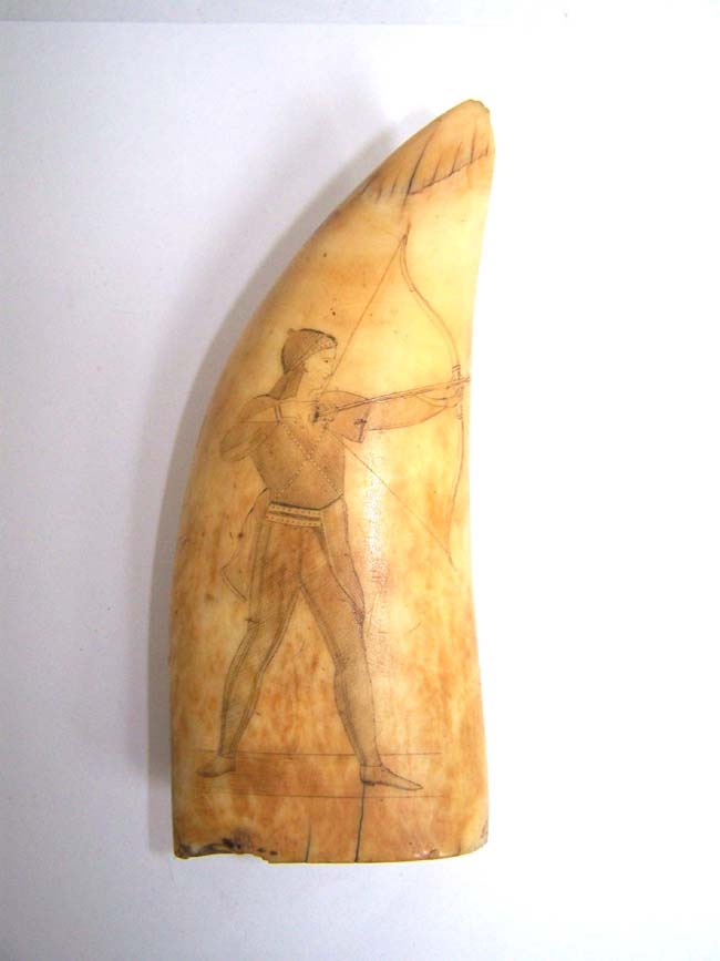 A Beautiful 19th century American Scrimshawed Whales Tooth With the Seal of the State of Rhode Island on one side and an archer on the other circa 1840. — image 2